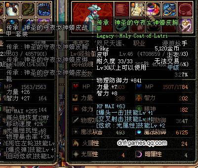 收:30级皮上衣 传承:<em>神圣的守夜女神</em>蟒皮胸甲,