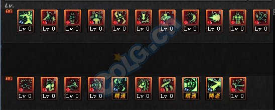 极武圣资料楼,沃特碧们的colg,dnf地下城与勇士 - colg社区