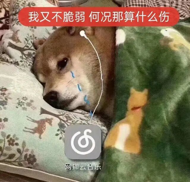 我又不脆弱,何况那算什么伤,沃特碧们的colg,dnf地下城与勇士 - colg