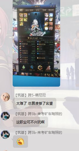 到底是鹦鹉呢还是刺客呢1