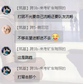 到底是鹦鹉呢还是刺客呢2