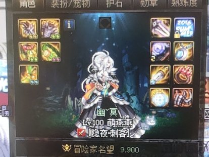 到底是鹦鹉呢还是刺客呢4