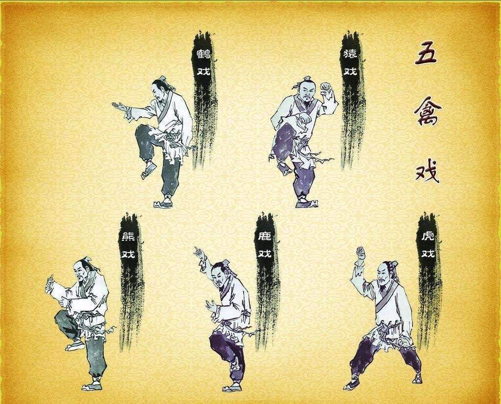 开个贴说第五职业猜想-格斗家5