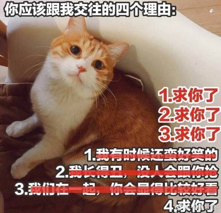 随便水水1
