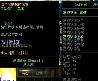 萌新提问，照着百科弄的伤害才6E，请问问题在哪？21