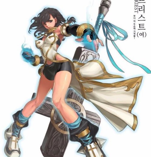 【杂谈：第五职业】女圣职者的第五职业会是女蓝拳吗？7