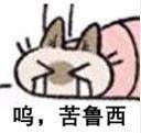 交一份无奶12战法奥兹玛二牛作业1