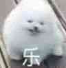 不行是不够大，够大里面请1