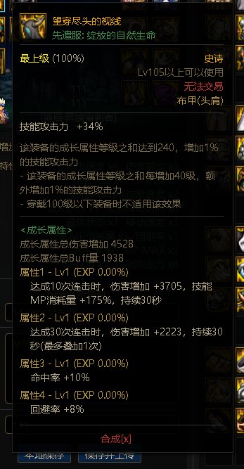 110异端审判者装备搭配（根据韩服装备选择率）13