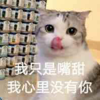 跨二小团体《竹海轻舟》招新，备战1102