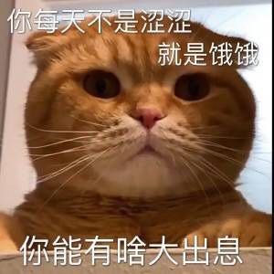DNF计算器Beta版1