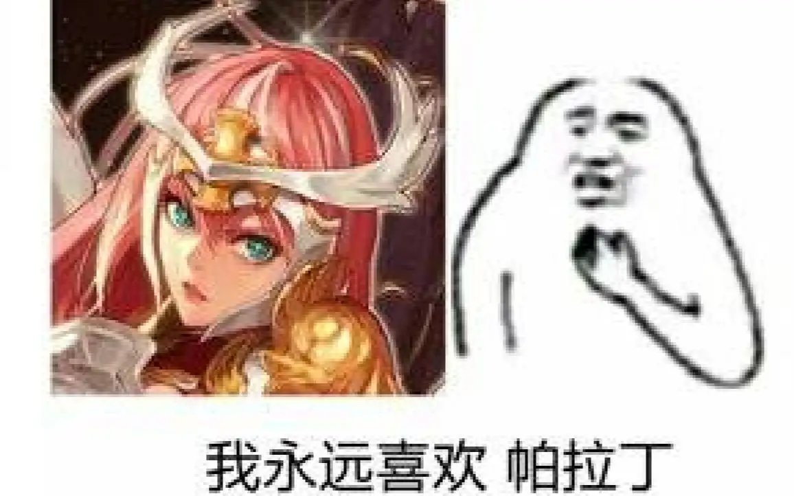 你可以永远相信帕拉丁！（组队车速过快）2