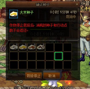 我想在种子上面写字1