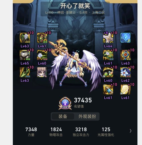 求一个女圣职大天域之后单刷装备搭配1