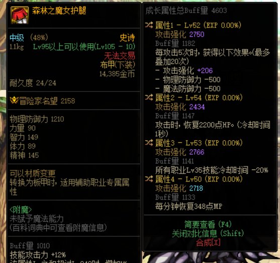 dalao们帮我看看奶妈这个魔女护腿应该怎么传词条1