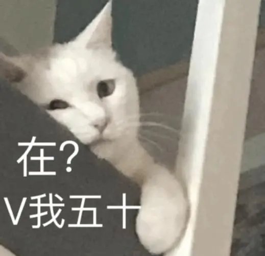 有包年套的吗1