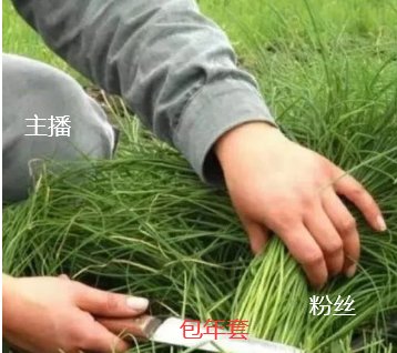 【周年庆版本：防盗指南】提升自身账号安全，周年庆防盗宣传手册15