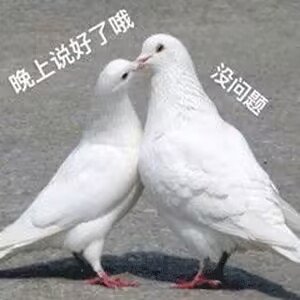 【自用】二次元精美聊天框补丁第一弹1