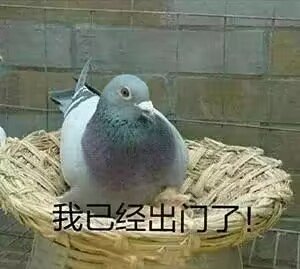 【自用】二次元精美聊天框补丁第二弹1