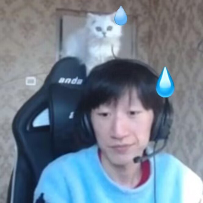 挂个3b的逆天公主人设骗子。73
