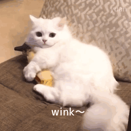 看看鸡精1