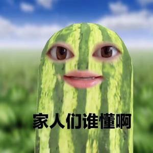 家人们谁懂啊1