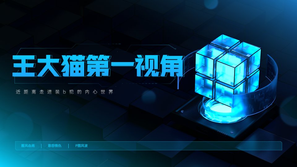 新鲜瓜来了:左手P图 右手剪辑 王大猫第一视角1