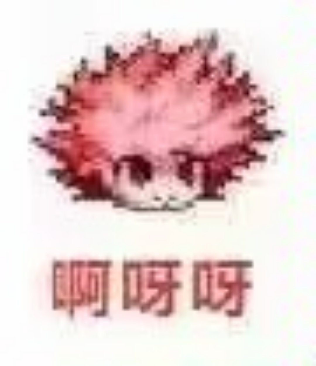 某只居是不是睡傻了1