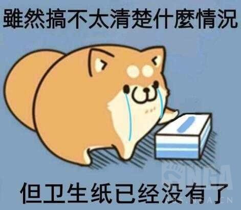 无内鬼，家人们来点鹦鹉和精灵骑士暖暖1