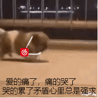 糖，前10 。。。。1