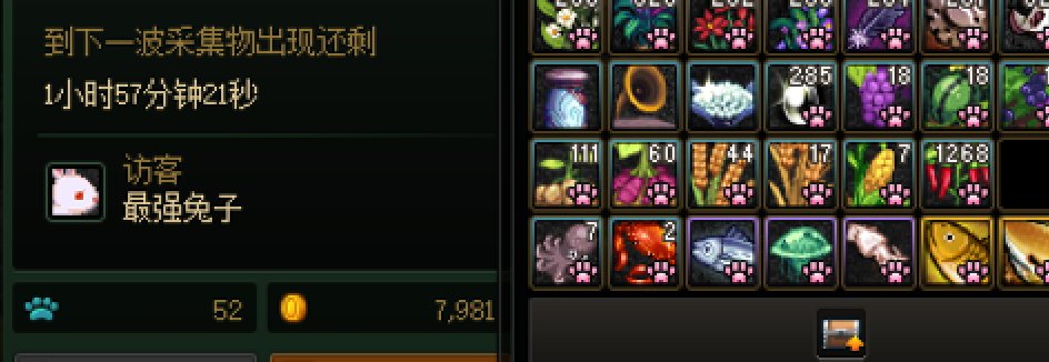 兔子啊，你终于来了啊1