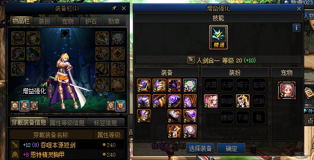 兄弟们 我这个剑宗为什么没伤害啊4