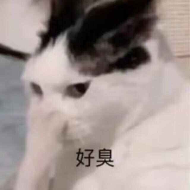 完了BBQ了，这奶萝不能要了！2