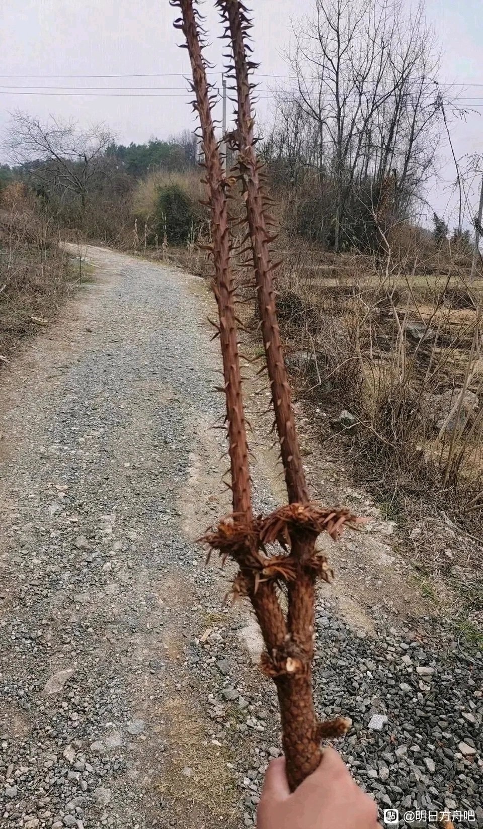 我在网上找到几张图，非常完美的棍子8
