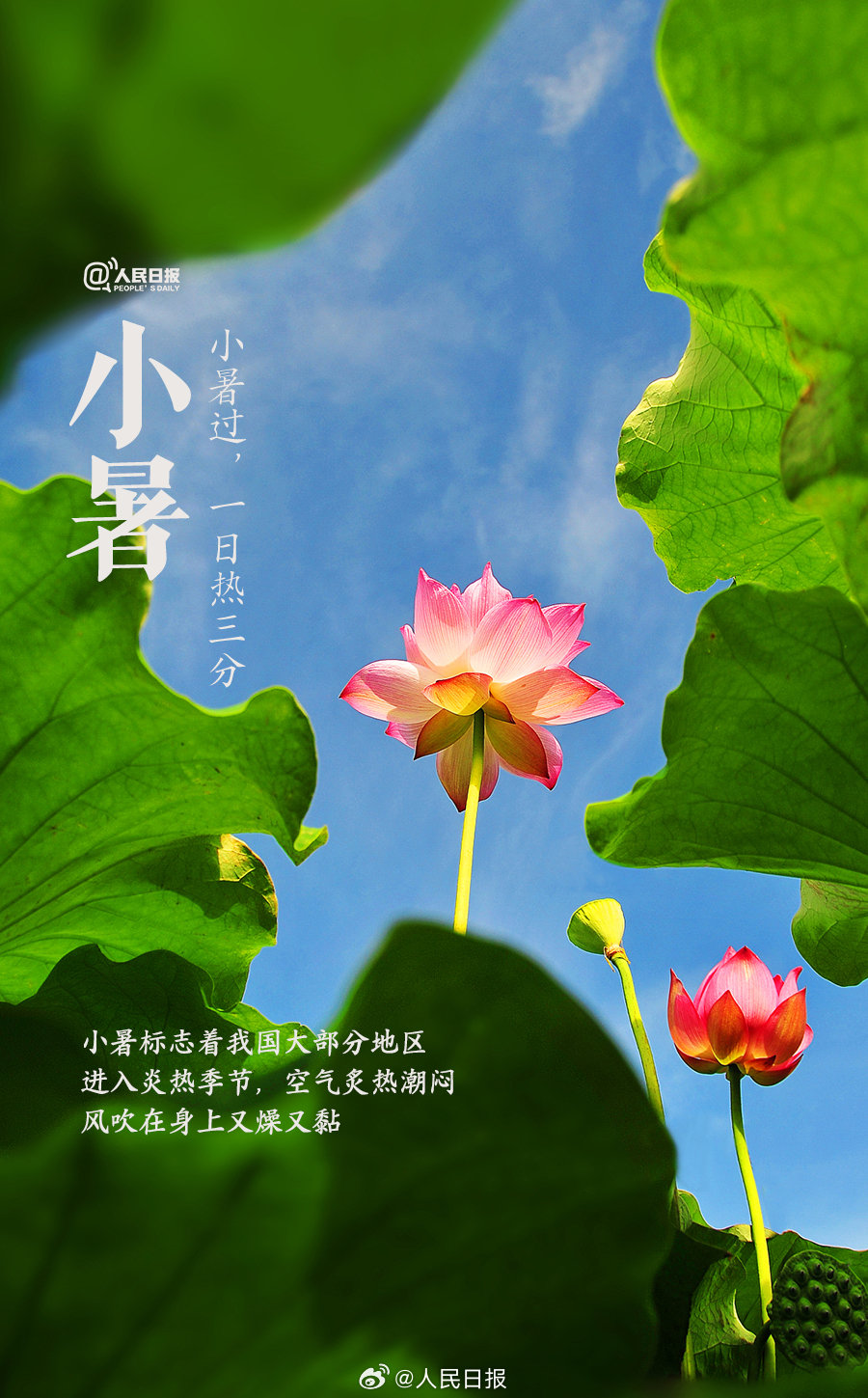 你是怎么过小暑的？3
