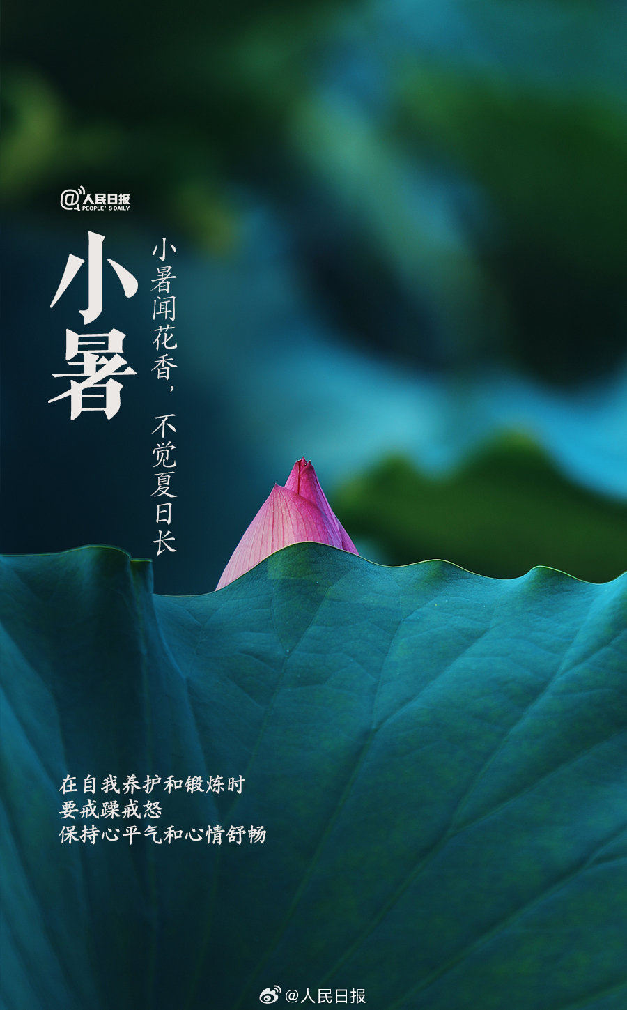 你是怎么过小暑的？8