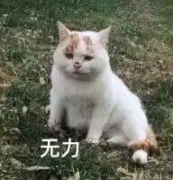 想问下公鸡流派1