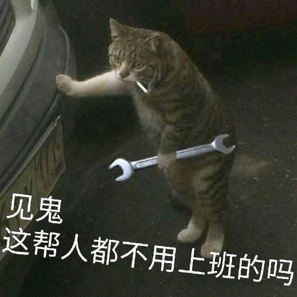 【我又来晚了？】你要说深渊和卢克，那我可就不困了（上篇）3