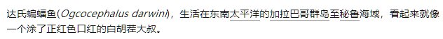 神奇动物在哪里（内含ikun6