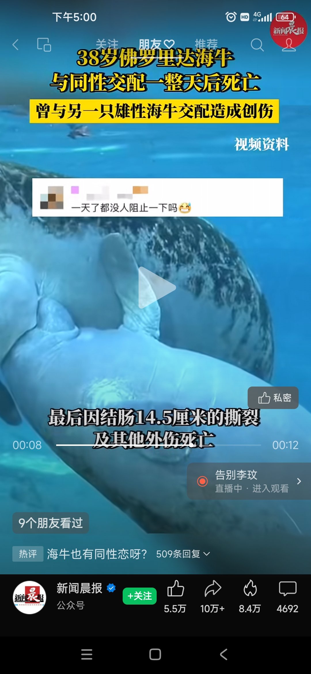 这是一个关于海牛的悲惨故事，听者伤心，闻者流泪啊1