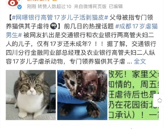 父母领养猫给儿子虐杀，这是什么脑回路1
