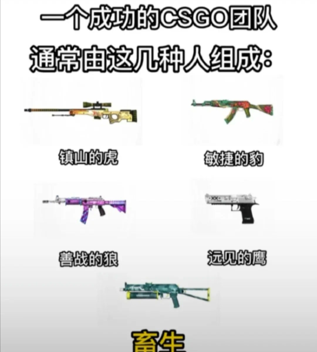 一个成功的CS.团队……1