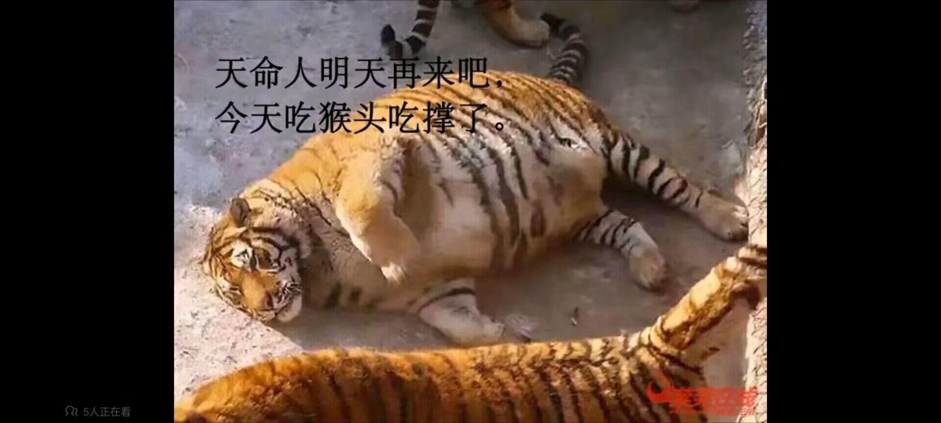 天命人明天再来吧~1