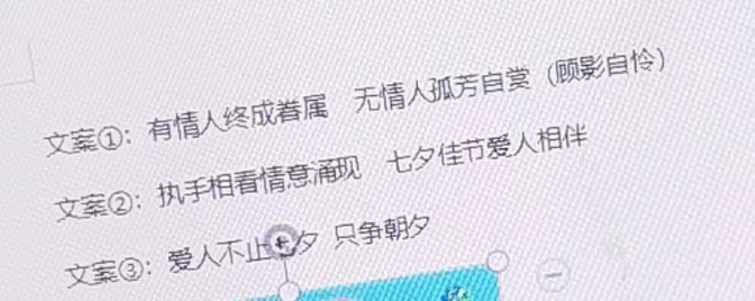 从养猫的公司跳槽的后续1