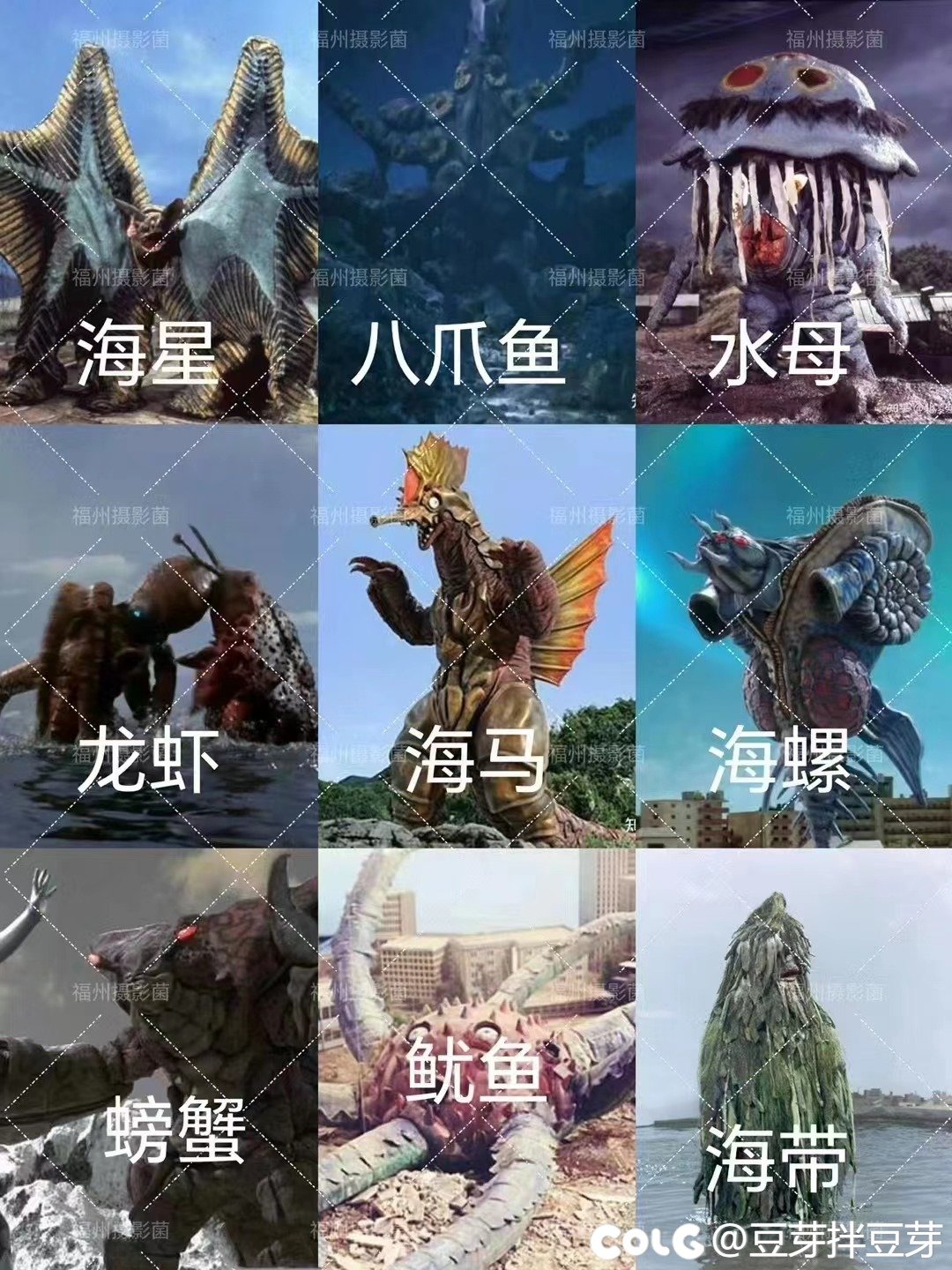 以后海鲜便宜了。1