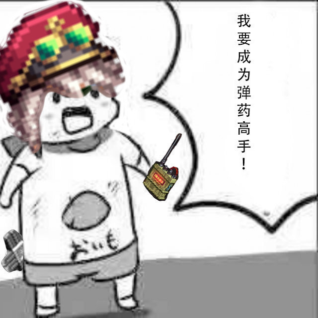 太久没斗图了，来点DNF表情包11