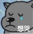 说说鹦鹉的优缺点20