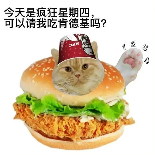 不对劲！不对劲！今天是星期四！你们发的都不是我想看的！！点开都不是！！11