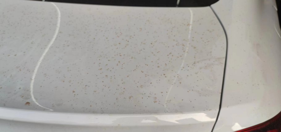 有在路边停车的朋友吗？1