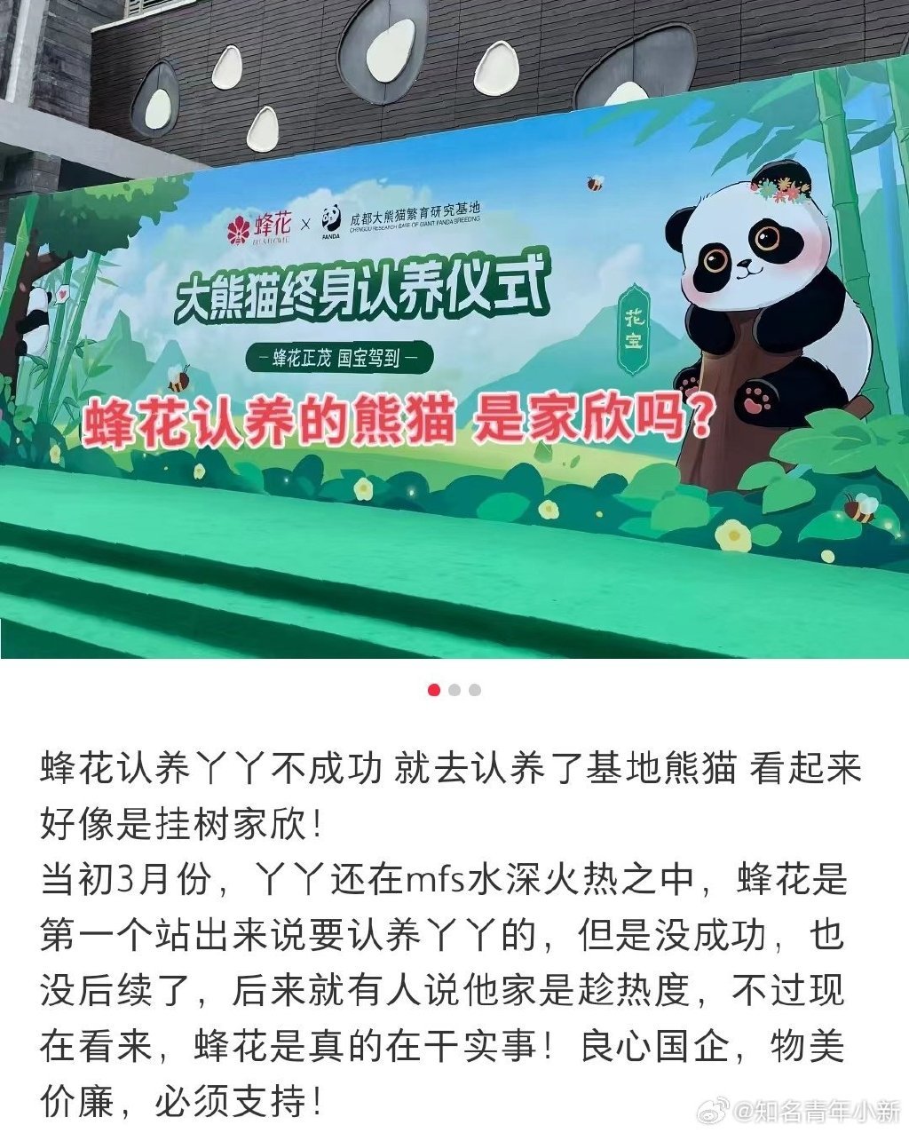 蜂花终身认养了一只大熊猫1